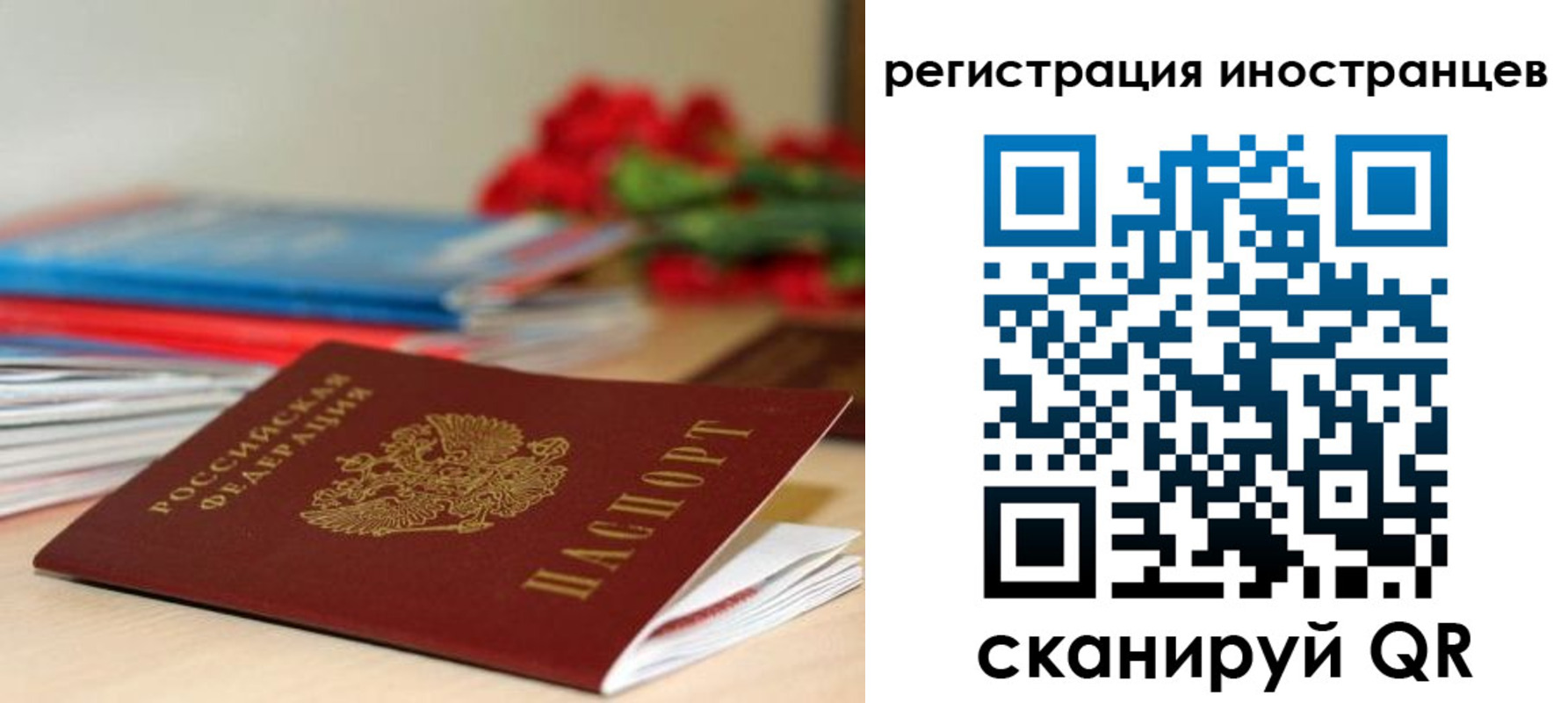 форма 3 в Камышине