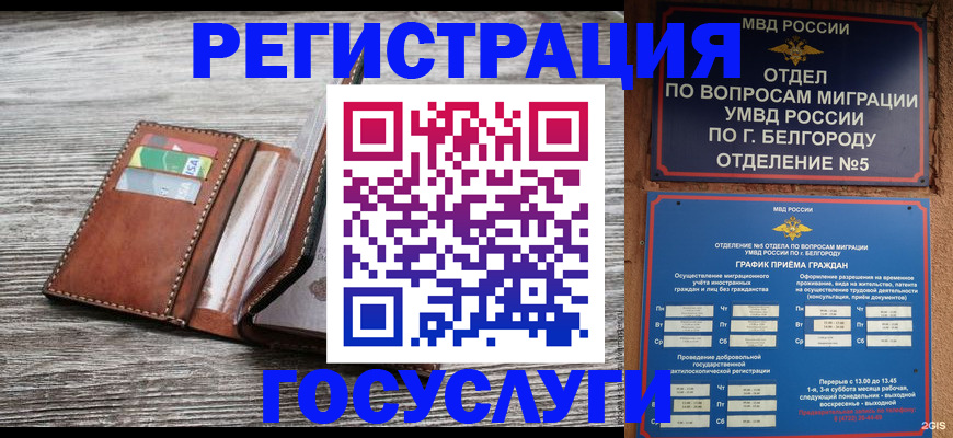 временная регистрация гарантия в Камышине